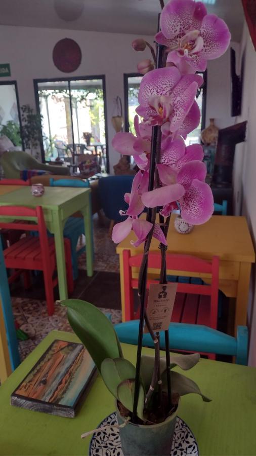 El Bodegon Hostal Boutique (Adults Only) Punta Del Diablo Εξωτερικό φωτογραφία